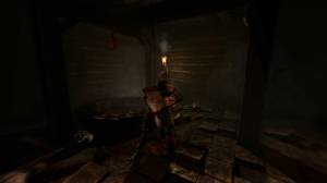 Amnesia: The Dark Descent