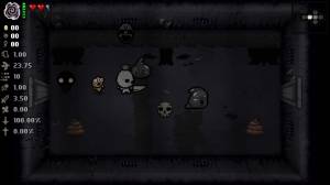 The Binding of Isaac: Afterbirth+
