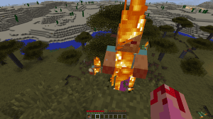 Minecraft