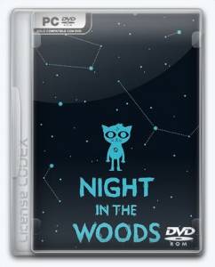 Night in the Woods