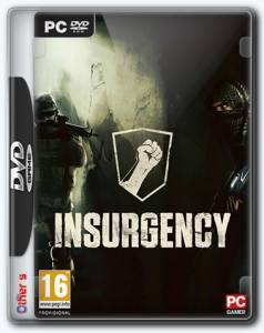 Insurgency
