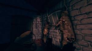 (Linux) Amnesia: A Machine for Pigs