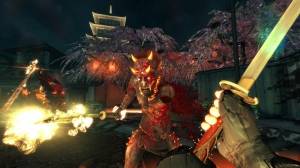 Shadow Warrior Special Edition