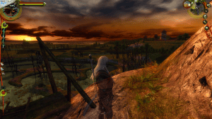 The Witcher