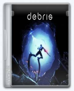 Debris