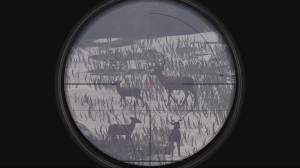 Deer Hunter: Reloaded