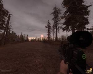  Call of Misery