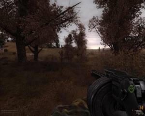  Call of Misery