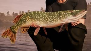 Fishing Sim World: Deluxe Edition