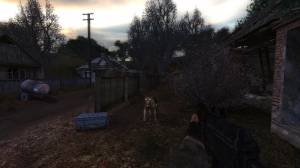     + Autumn Aurora 2.1