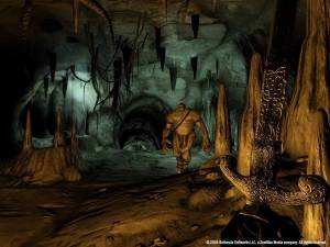 The Elder Scrolls IV: Oblivion Game of the Year Edition / The Elder Scrolls 4: Oblivion