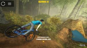 Shred 2