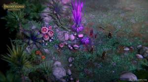 (Linux) Pathfinder: Kingmaker - Imperial Edition