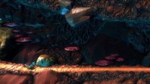 Macrotis: A Mother's Journey