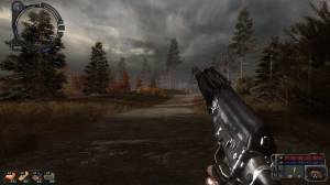  Call of Pripyat - STCoPWP 3.0 + Absolute Nature 4