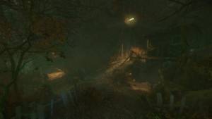 The Cursed Forest