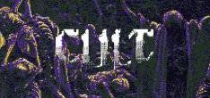 Cult Cult