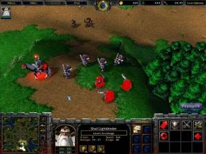    WarCraft III/3: Reign of Chaos + The Frozen Throne