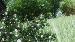 The Elder Scrolls IV: Oblivion Bevilex & Reisen Abe's ModLists