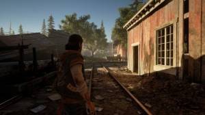   / Days Gone