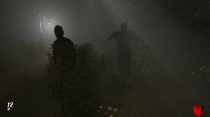 Hanefield Asylum 