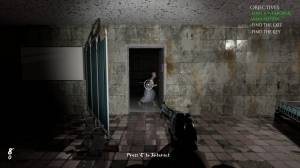Hanefield Asylum 