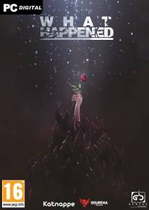 What Happened