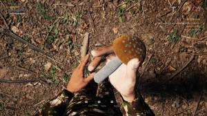 Mushroom Picker Simulator