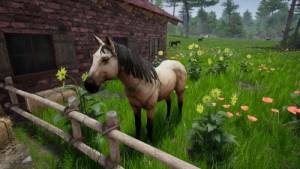 Horse Riding Deluxe 2