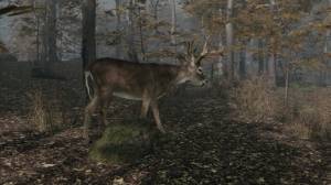  Pro Deer Hunting 2