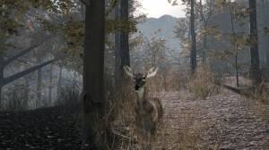 Pro Deer Hunting 2