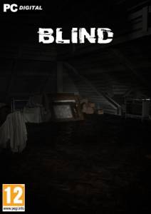  BLIND