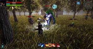 Rune Knights