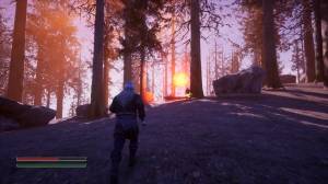  Firelight Fantasy: Phoenix Crew