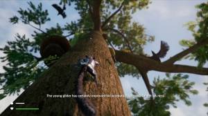  AWAY: The Survival Series