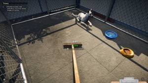 Animal Shelter