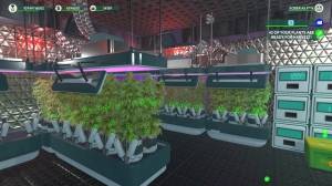  Weed Shop 3