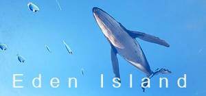 Eden Island