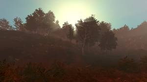 Trials of Wilderness