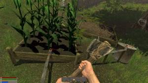 Trials of Wilderness