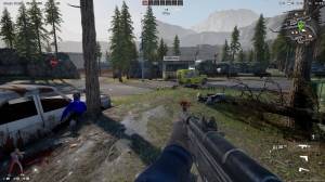  Anarchy: Wolfs law