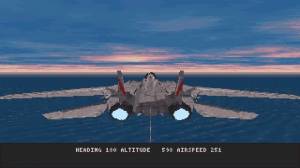 Fleet Defender: The F-14 Tomcat Simulation 