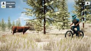 Mountain Bicycle Rider Simulator