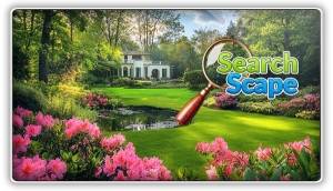 Search Scape