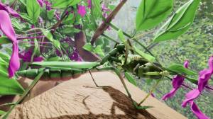 Nature & Life: Drunk On Nectar